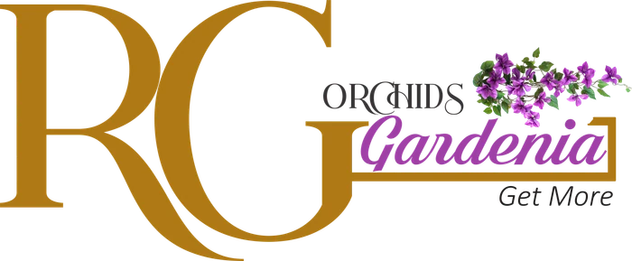 RG Orchids Gardenia